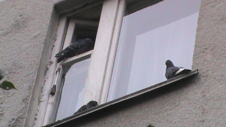 И чего это тут варится?